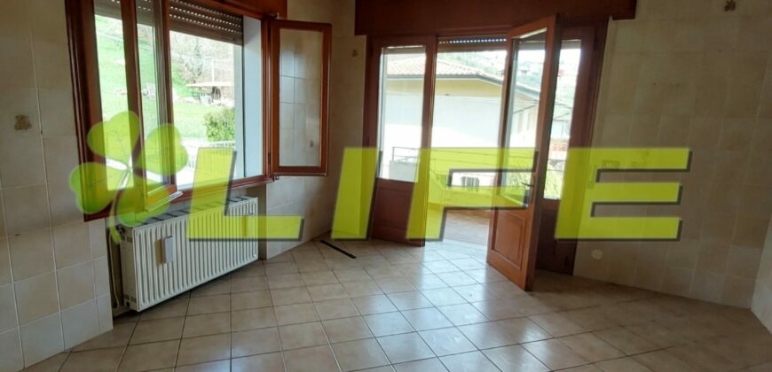 Fantastico appartamento 3 camere con giardino!