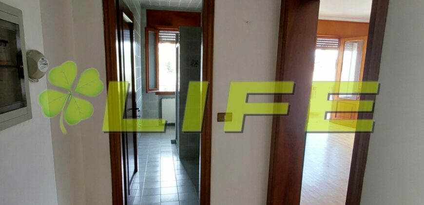 Fantastico appartamento 3 camere con giardino!