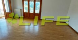 Fantastico appartamento 3 camere con giardino!