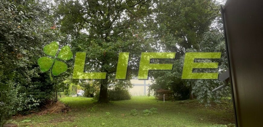 Casa indipendente ad Istrana (TV)