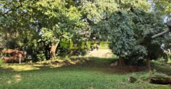 Casa indipendente ad Istrana (TV)