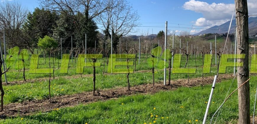 Casale con vigneto in vendita a Cavaso del Tomba