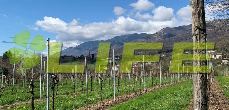 Casale con vigneto in vendita a Cavaso del Tomba